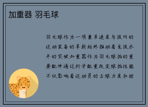 加重器 羽毛球