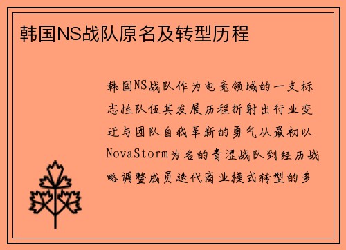 韩国NS战队原名及转型历程